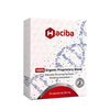 HACIBA PROBIOTIC