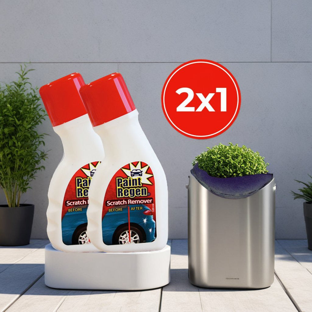 Paint Regen 2x1 a 49,99€