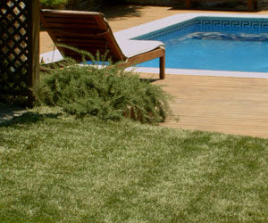 Aquagrazz a 248 LEU