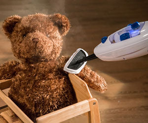 Steam Mop a 387 PLN