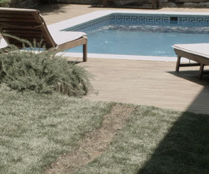 Aquagrazz a 49,99€