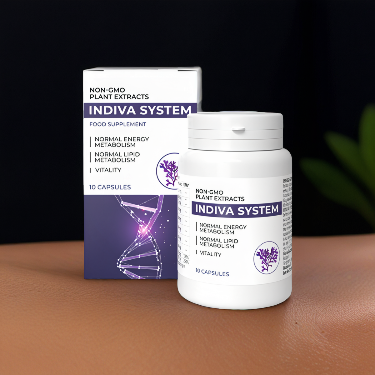 Indiva System