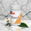 TESTOY