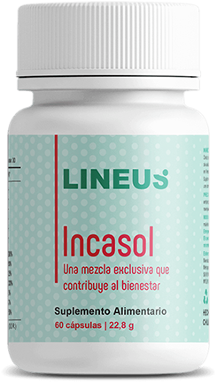 Incasol